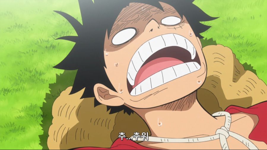 [네코상] One Piece - 784 (TVA 1920x1080 x264 AAC).mkv_20191007_214615.244.jpg