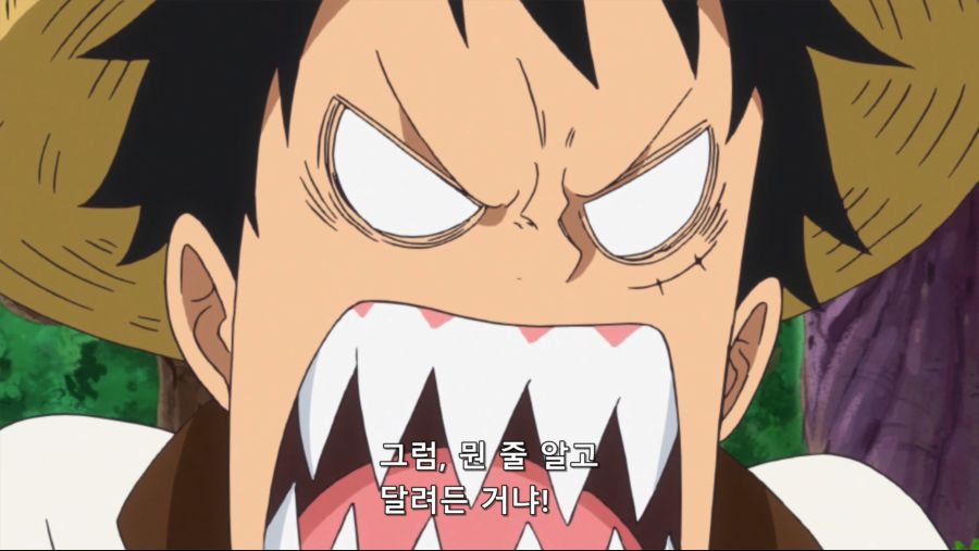 [네코상] One Piece - 791 (TVA 1920x1080 x264 AAC).mkv_20191008_174010.609.jpg