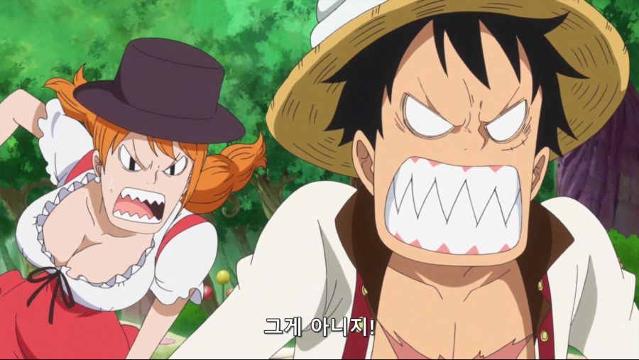 [네코상] One Piece - 791 (TVA 1920x1080 x264 AAC).mkv_20191008_174012.731.jpg