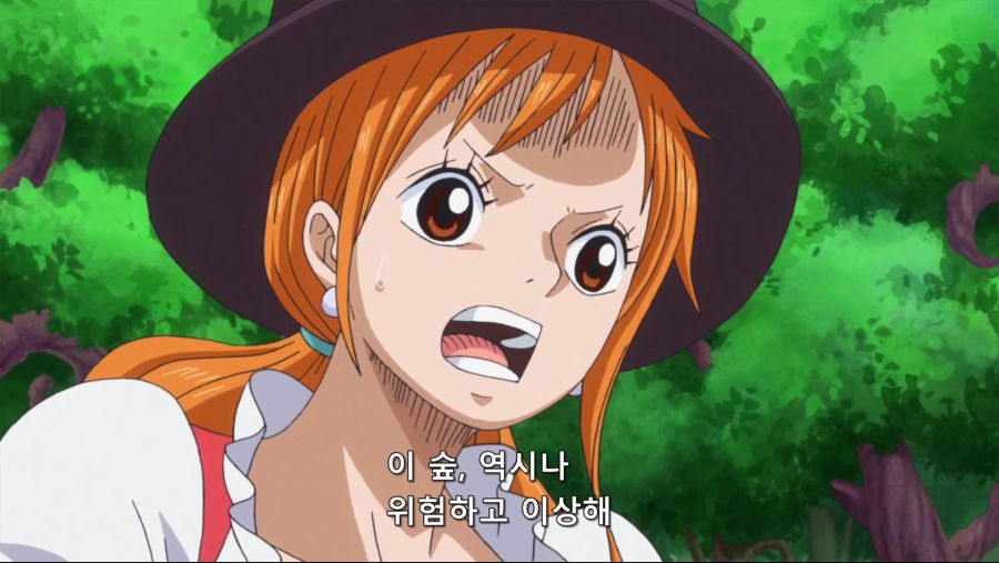 [네코상] One Piece - 791 (TVA 1920x1080 x264 AAC).mkv_20191008_174018.377.jpg