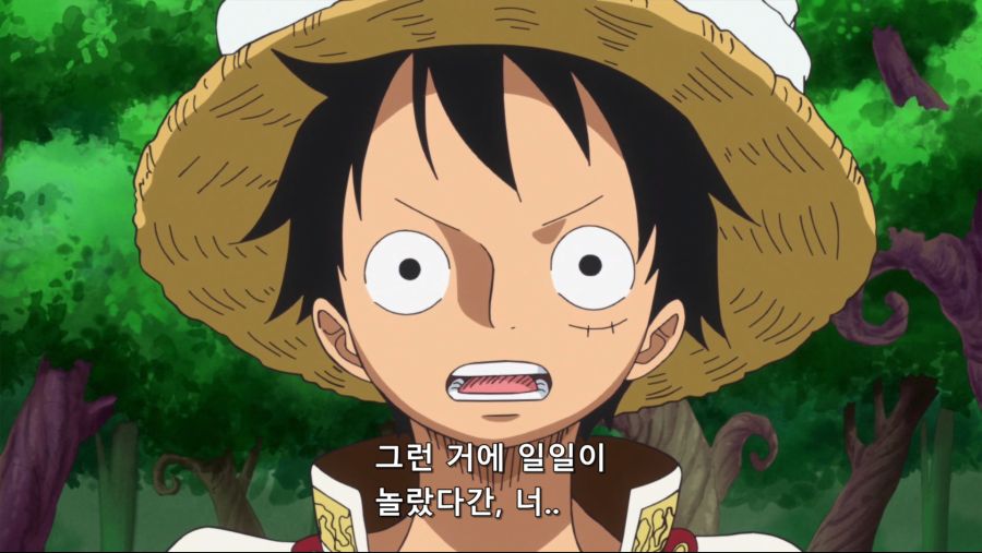 [네코상] One Piece - 791 (TVA 1920x1080 x264 AAC).mkv_20191008_174022.557.jpg