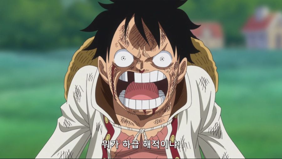 [네코상] One Piece - 808 (TVA 1920x1080 x264 AAC).mkv_20191010_191632.261.jpg