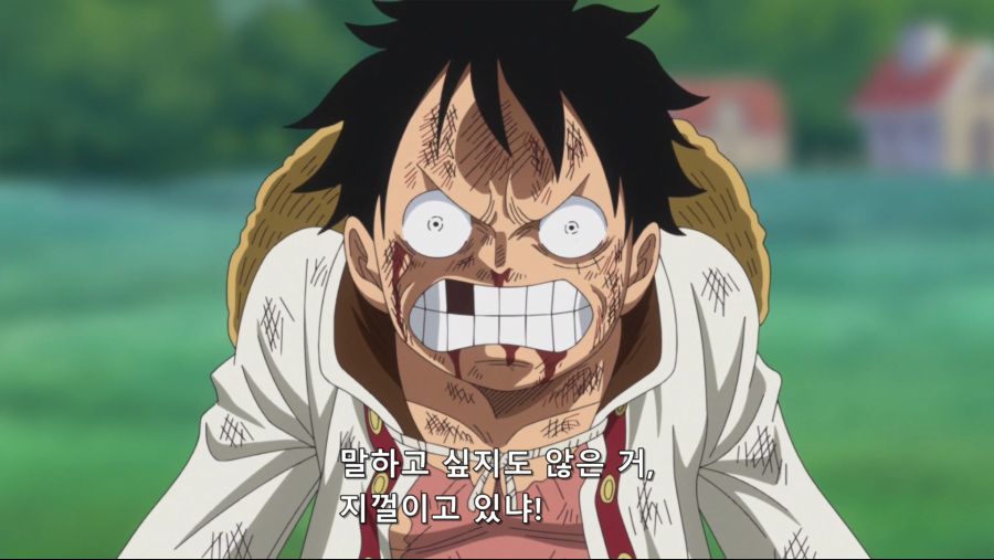 [네코상] One Piece - 808 (TVA 1920x1080 x264 AAC).mkv_20191010_191635.564.jpg