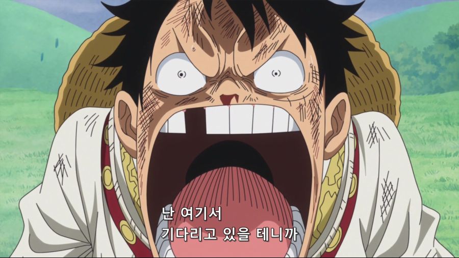 [네코상] One Piece - 808 (TVA 1920x1080 x264 AAC).mkv_20191010_191750.702.jpg