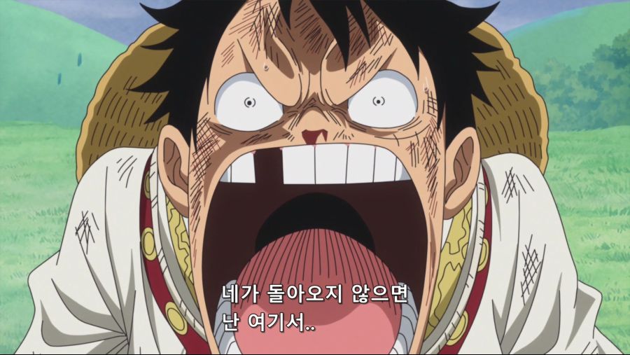 [네코상] One Piece - 808 (TVA 1920x1080 x264 AAC).mkv_20191010_191754.530.jpg