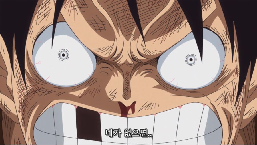 [네코상] One Piece - 808 (TVA 1920x1080 x264 AAC).mkv_20191010_191855.639.jpg