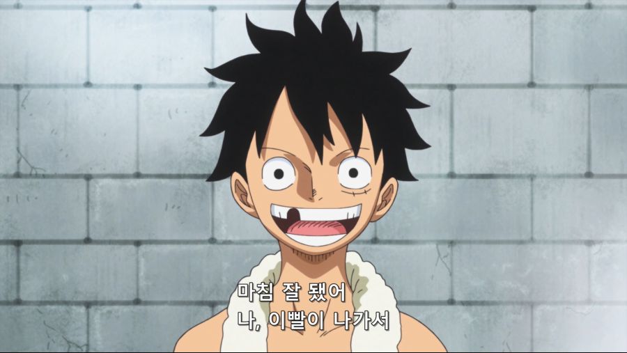 [네코상] One Piece - 827 (TVA 1920x1080 x264 AAC).mkv_20191012_025731.778.jpg