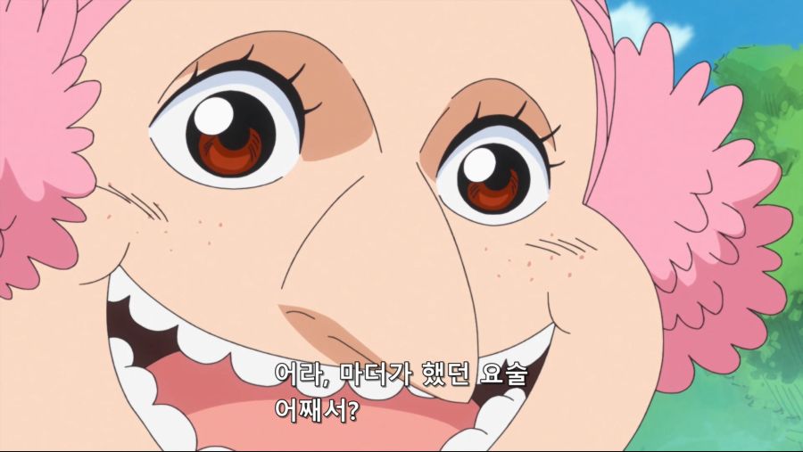 [네코상] One Piece - 838 (TVA 1920x1080 x264 AAC).mkv_20191013_011240.350.jpg