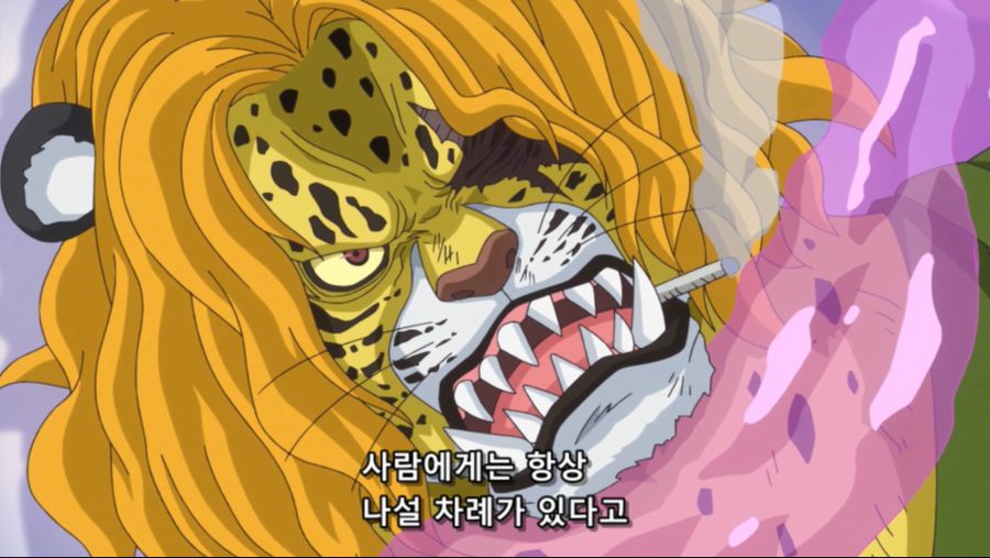 [네코상] One Piece - 849 (TVA 1920x1080 x264 AAC).mkv_20191013_091617.126.jpg