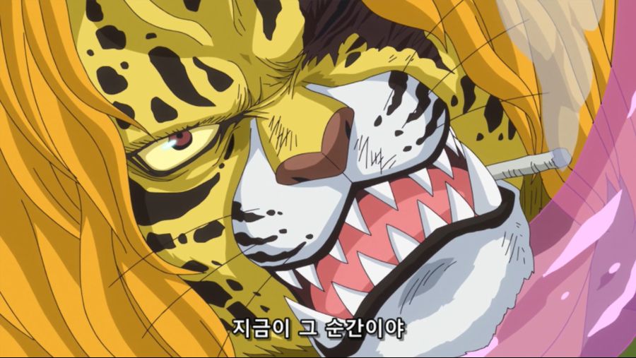 [네코상] One Piece - 849 (TVA 1920x1080 x264 AAC).mkv_20191013_091622.261.jpg