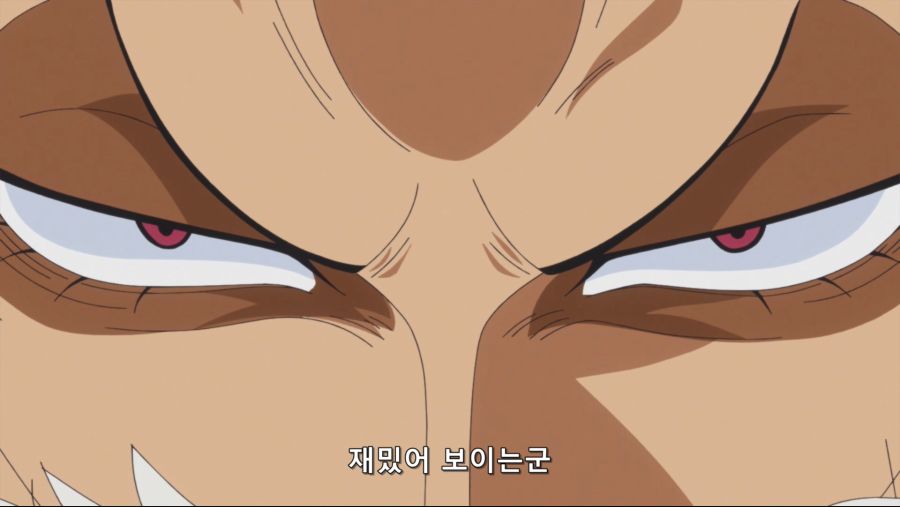 [네코상] One Piece - 855 (TVA 1920x1080 x264 AAC).mkv_20191013_122339.968.jpg