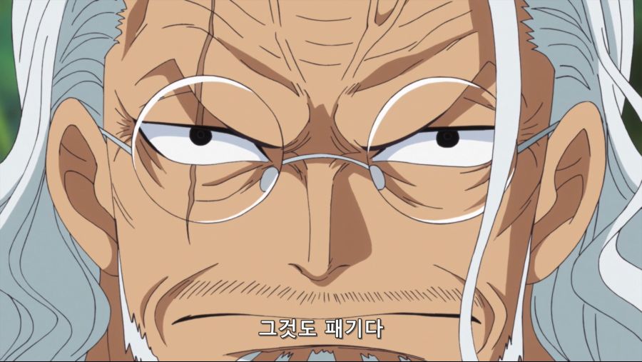 [네코상] One Piece - 865 (TVA 1920x1080 x264 AAC).mkv_20191014_193712.291.jpg
