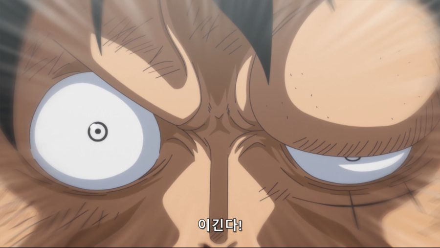 [네코상] One Piece - 868 (TVA 1920x1080 x264 AAC).mkv_20191015_135707.111.jpg