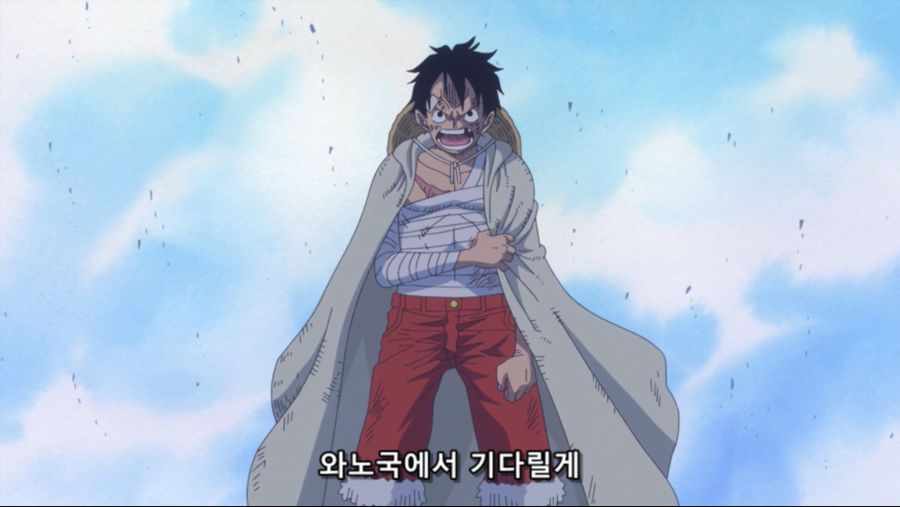 [네코상] One Piece - 876 (TVA 1920x1080 x264 AAC).mkv_20191016_200752.331.jpg