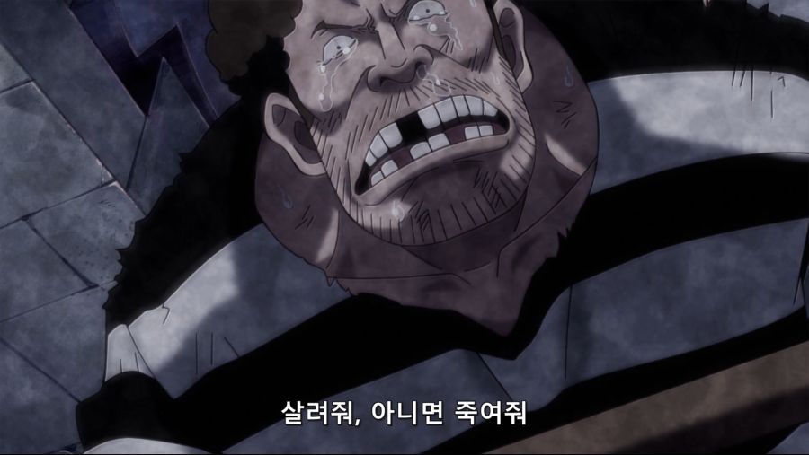 [네코상] One Piece - 884 (TVA 1920x1080 x264 AAC).mkv_20191017_190525.192.jpg