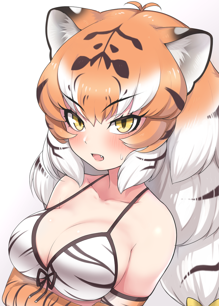 4bef81dd551f6987c0f74bfc33d068664adf5212.png