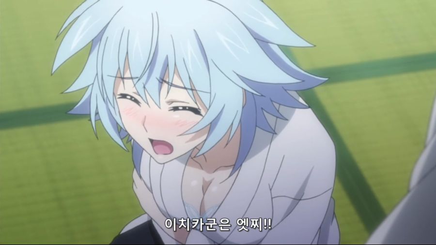 [Leopard-Raws] IS - Infinite Stratos 2 - 02 RAW (TBS 1280x720 x264 AAC).mp4_20200210_105108.934.jpg