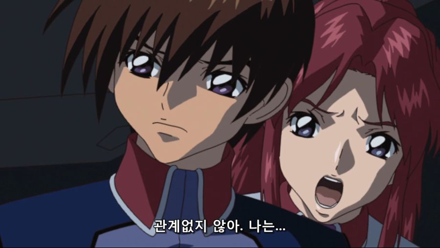 Mobile Suit Gundam SEED HD Remaster - 16 (PHASE-17) (BD 1280x720 AVC AAC).mp4_20200227_145347.908.jpg