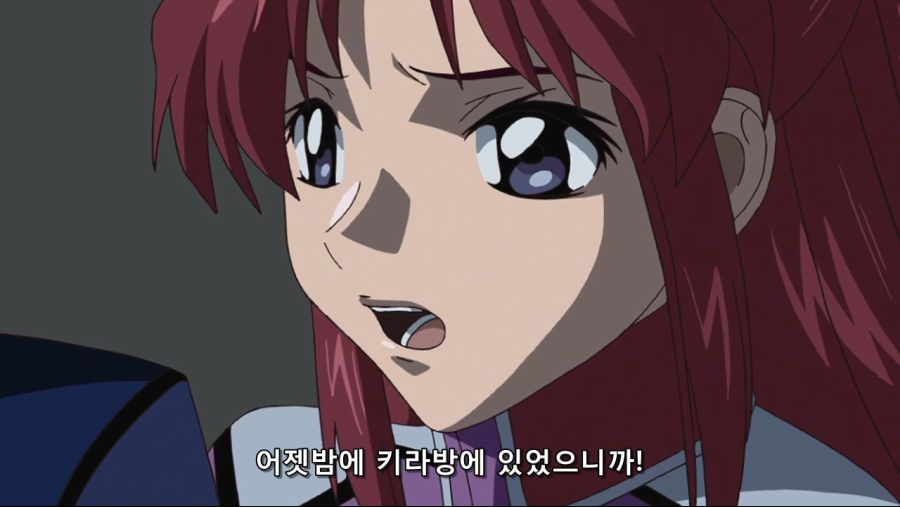 Mobile Suit Gundam SEED HD Remaster - 16 (PHASE-17) (BD 1280x720 AVC AAC).mp4_20200227_145349.744.jpg
