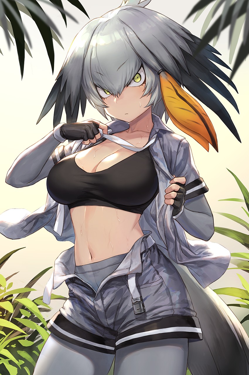 __shoebill_kemono_friends_drawn_by_guchico__sample-5a2c61d8faf5935e70fd9b15953b12f6.jpg