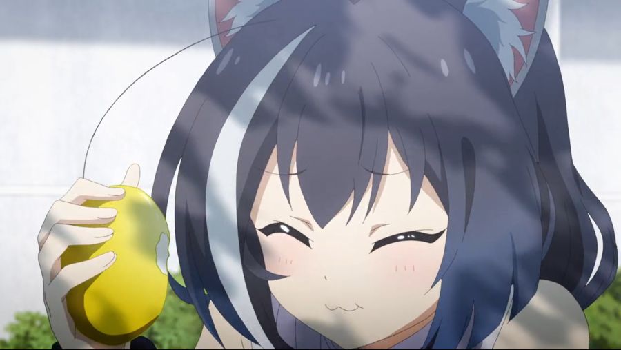 1587647531820.jpg