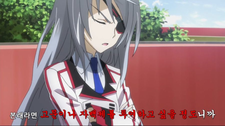 [Leopard-Raws] IS - Infinite Stratos 2 - 10 RAW (TBS 1280x720 x264 AAC).mp4_20200712_183611.476.jpg