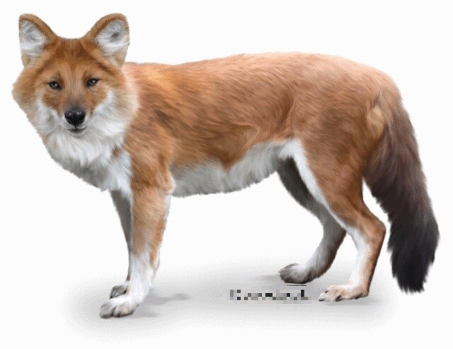 realdhole.jpeg