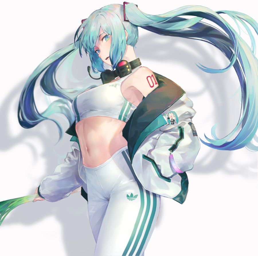 __hatsune_miku_and_hachune_miku_vocaloid_drawn_by_pigonhae__03736ab694ba6f801c300b6ac66b940a.jpg