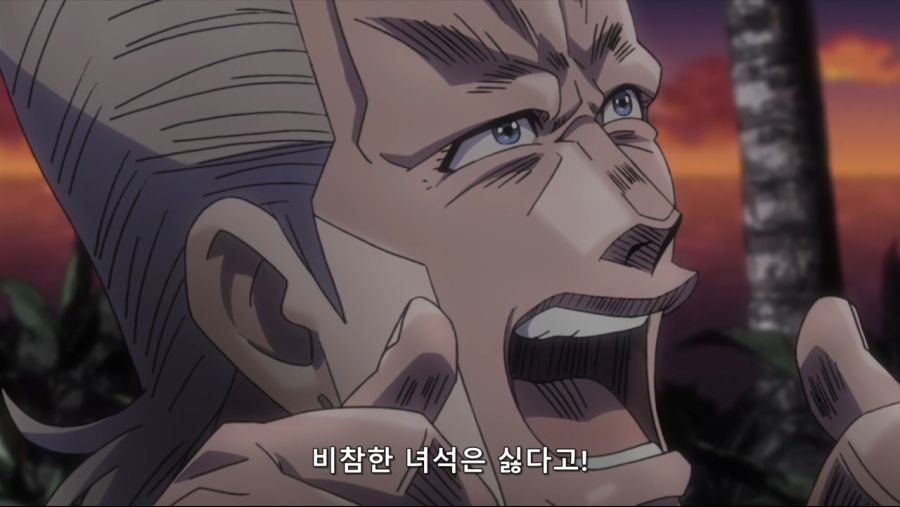[네로] 죠죠의 기묘한 모험 3부 ~스타더스트 크루세이더스~ 21화 (MX 1280x720 x264 AAC1).mp4_20200911_202657.227.jpg