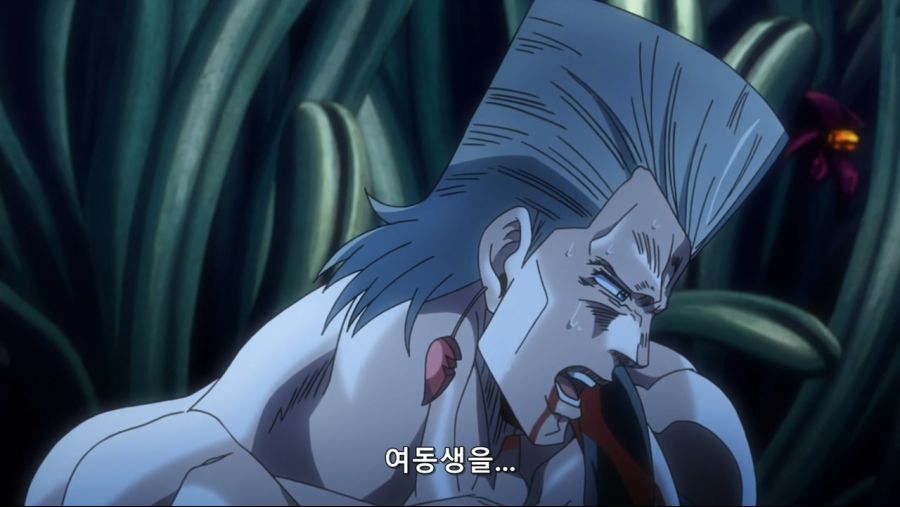 [네로] 죠죠의 기묘한 모험 3부 ~스타더스트 크루세이더스~ 21화 (MX 1280x720 x264 AAC1).mp4_20200911_204014.567.jpg