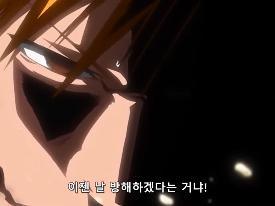 Bleach.6th.TV.2007.DVDRip-Hi.x264.AC3.1280.EP114-nezumi.mkv_20200921_225045.272.jpg