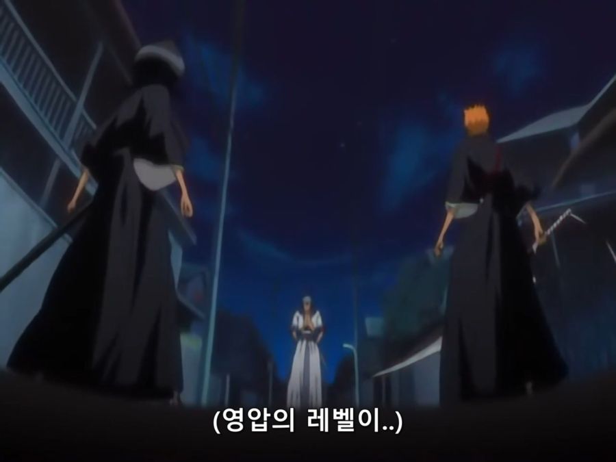 Bleach.6th.TV.2007.DVDRip-Hi.x264.AC3.1280.EP118-nezumi.mkv_20200923_115559.443.jpg