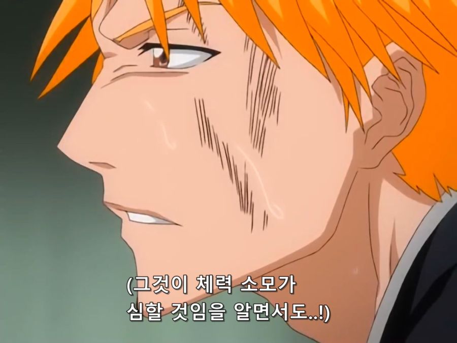 Bleach.8th.TV.2007.DVDRip-Hi.x264.AC3.1280.EP153-nezumi.mkv_20200924_215834.299.jpg