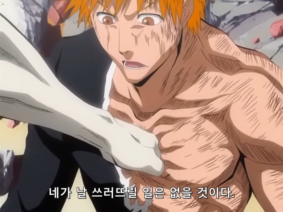 Bleach.8th.TV.2007.DVDRip-Hi.x264.AC3.1280.EP162-nezumi.mkv_20200926_145529.832.jpg