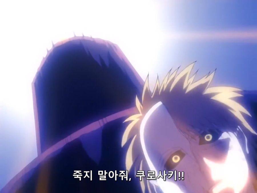 Bleach.8th.TV.2007.DVDRip-Hi.x264.AC3.1280.EP166-nezumi.mkv_20200927_103912.835.jpg