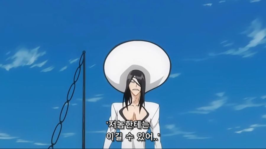 Bleach.10th.TV.2008.DVDRip-Hi.x264.AC3.1280.EP191-nezumi.mkv_20200927_153306.456.jpg