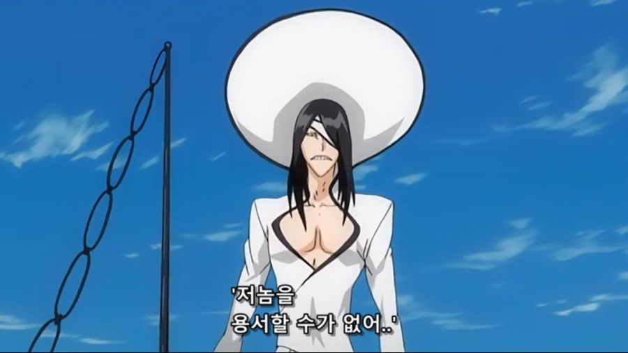 Bleach.10th.TV.2008.DVDRip-Hi.x264.AC3.1280.EP191-nezumi.mkv_20200927_153308.495.jpg