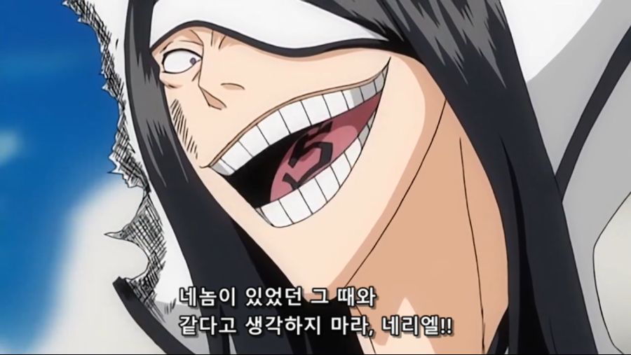 Bleach.10th.TV.2008.DVDRip-Hi.x264.AC3.1280.EP192-nezumi.mkv_20200927_155856.964.jpg