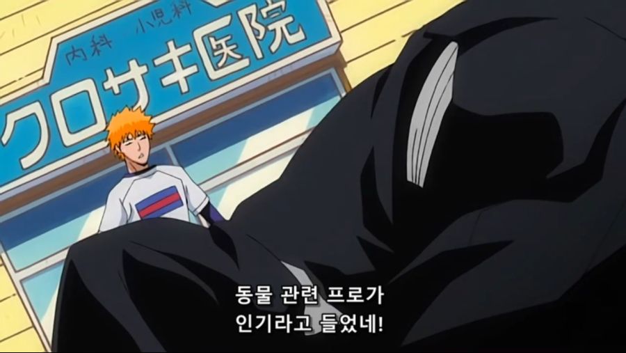 Bleach.10th.TV.2008.DVDRip-Hi.x264.AC3.1280.EP201-nezumi.mkv_20200928_202414.230.jpg