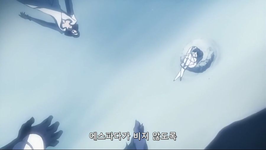 Bleach.10th.TV.2008.DVDRip-Hi.x264.AC3.1280.EP202-nezumi.mkv_20200929_144237.012.jpg