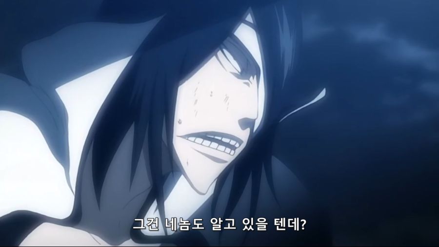 Bleach.10th.TV.2008.DVDRip-Hi.x264.AC3.1280.EP202-nezumi.mkv_20200929_144252.578.jpg