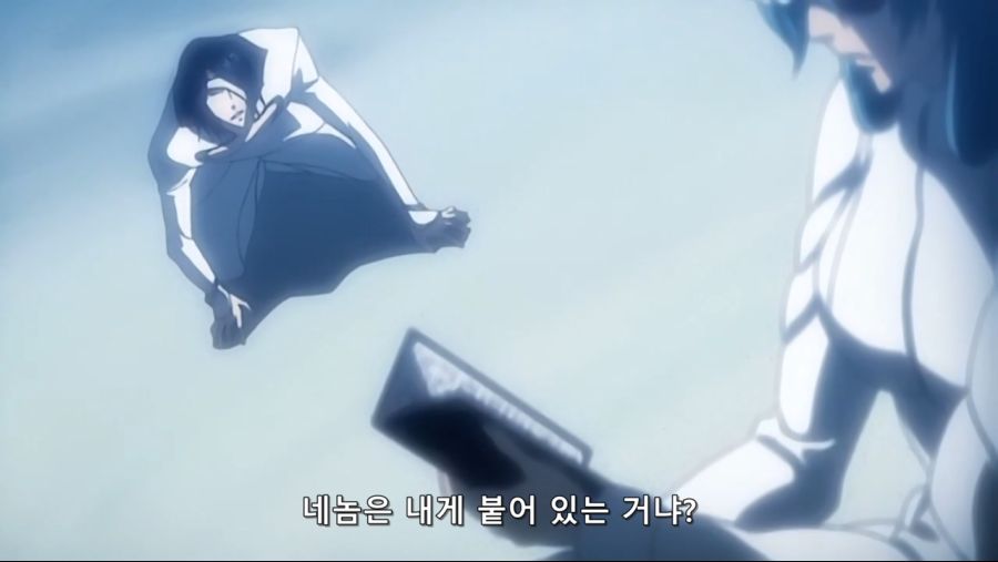Bleach.10th.TV.2008.DVDRip-Hi.x264.AC3.1280.EP202-nezumi.mkv_20200929_144300.690.jpg