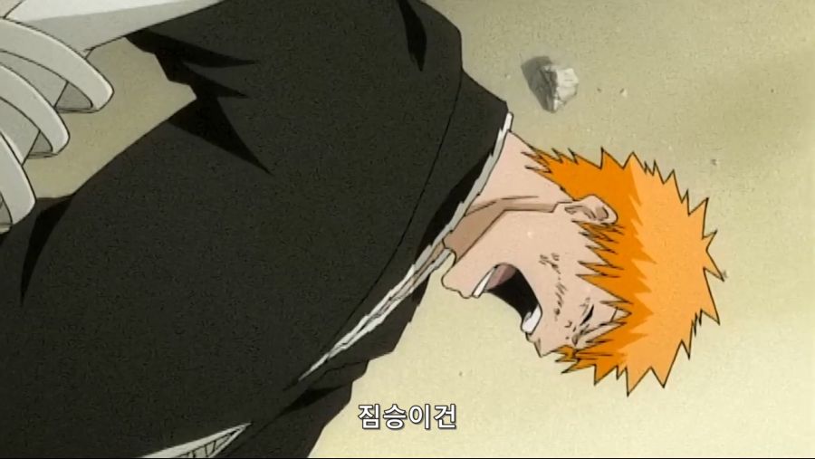 Bleach.10th.TV.2008.DVDRip-Hi.x264.AC3.1280.EP202-nezumi.mkv_20200929_144400.131.jpg