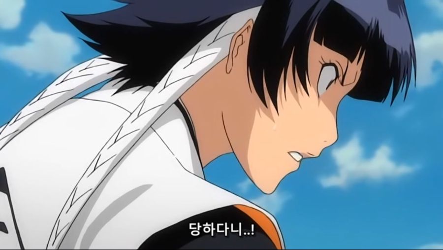 Bleach.12th.TV.2009.DVDRip-Hi.x264.AC3.1280.EP219-nezumi.mkv_20200929_180555.186.jpg