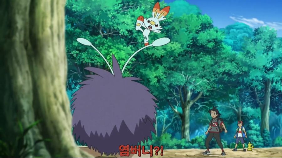 포켓몬스터 W 06화 - 포켓몬 대량 GET! 뮤로의 길!!.mp4_20201021_154915.686.jpg