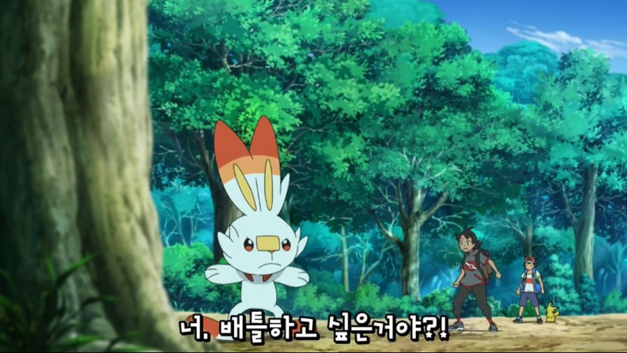 포켓몬스터 W 06화 - 포켓몬 대량 GET! 뮤로의 길!!.mp4_20201021_154919.880.jpg