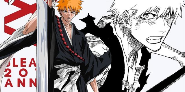 Ichigo-in-Bleach-anime-return.jpg