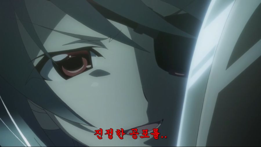 [Leopard-Raws] IS - Infinite Stratos 2 - 08 RAW (TBS 1280x720 x264 AAC).mp4_20201218_141005.938.jpg