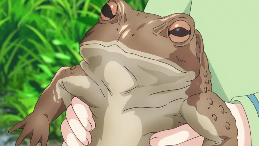 [Ohys-Raws] Non Non Biyori Non__stop - 01 (TX 1280x720 x264 AAC).mp4_snapshot_17.45_[2021.01.13_19.27.38].png