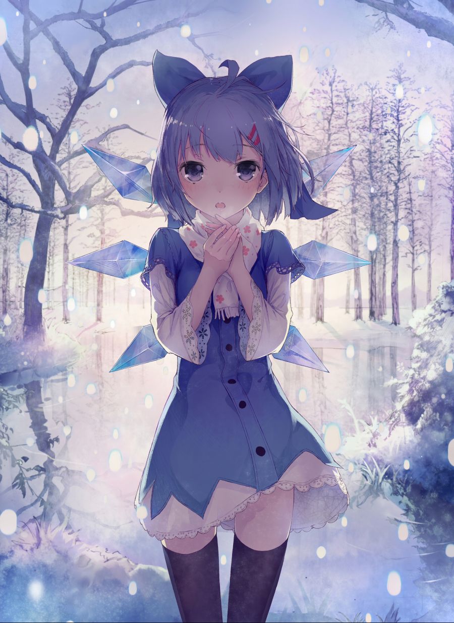 __cirno_touhou_drawn_by_shouin__6c0d714cdb0195a05c890bee01333065.jpg